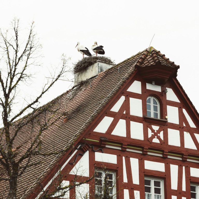 Erfahrener Immobilienmakler Schwabach: Giebel eines Fachwerkhauses mit Ziegeldach