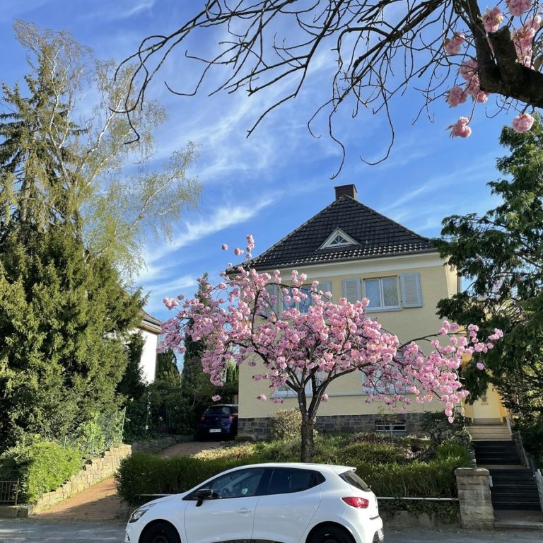 Haus verkaufen Dietenhofen: Einfamilienhaus mit blühendem Baum