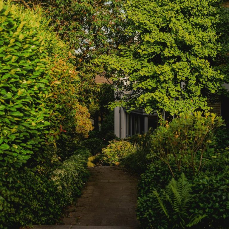 Haus verkaufen Großhabersdorf: Gartenweg durch einen grünen Garten