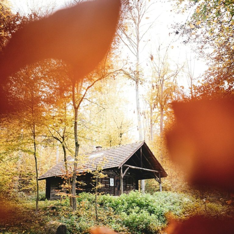 Haus verkaufen Heilsbronn: Gartenhaus aus Holz zwischen Bäumen