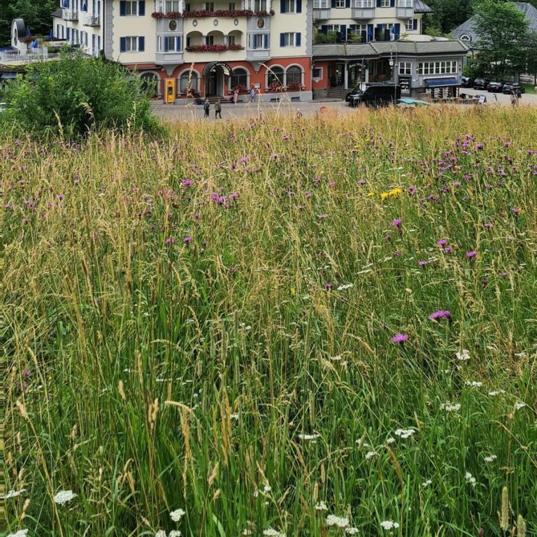 Immobilie schnell verkaufen Dietersheim: Wiese am Ortsrand vor Wohnhäusern