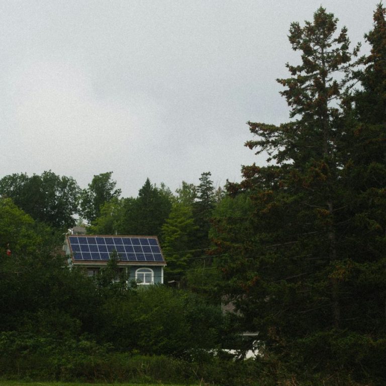 Immobilie schnell verkaufen Rohr: Haus mit Solardach zwischen Bäumen