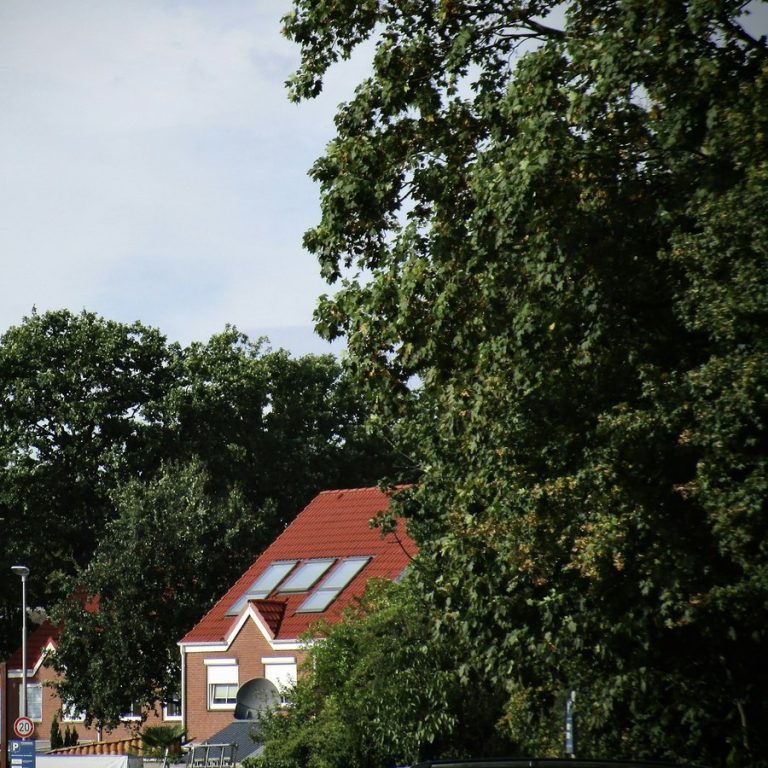 Immobilie schnell verkaufen Sachsen bei Ansbach: Haus mit rotem Dach zwischen Bäumen