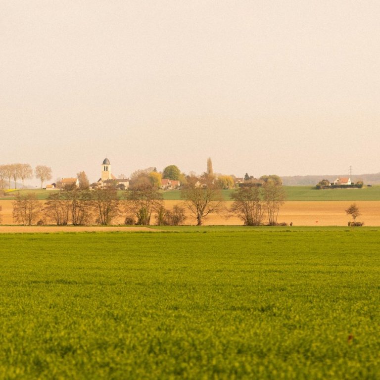 Immobilienbewertung Dietersheim: Felder am Rand eines Dorfes
