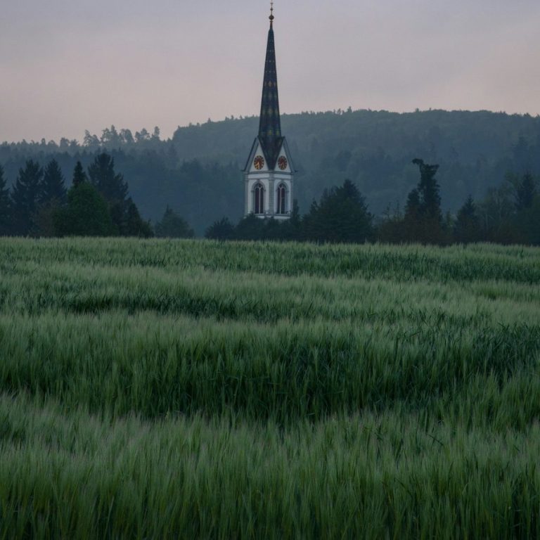 Immobilienbewertung Kalchreuth: Kirchturm hinter einem Feld am Waldrand