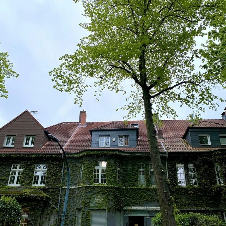 Immobilienbewertung Obermichelbach: Wohnhaus hinter großen Bäumen