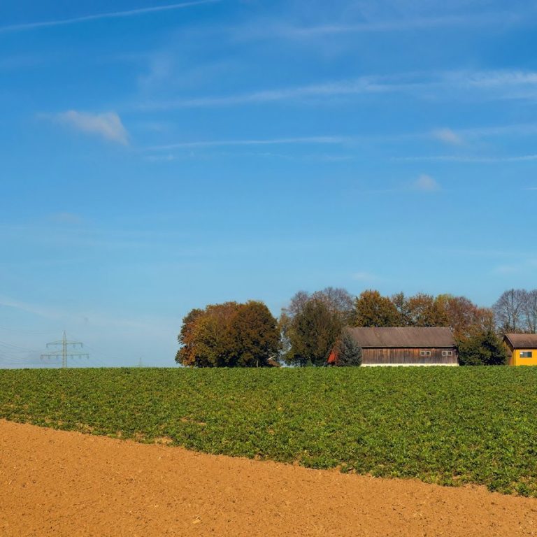 Immobilienbewertung Rügland: Hof zwischen Feldern und Bäumen