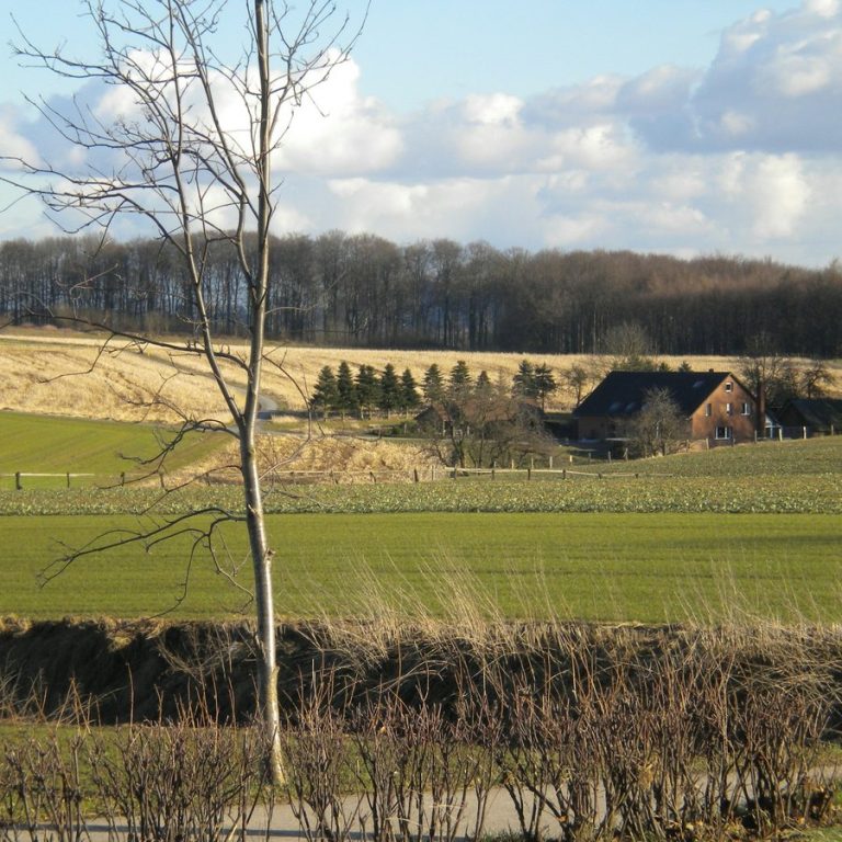 Immobilienmakler Aurachtal: Hof zwischen Feldern und Bäumen