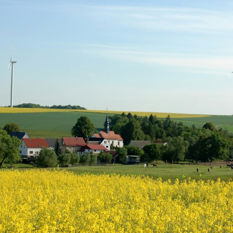 Immobilienmakler Dietersheim: Dorf zwischen Rapsfeldern