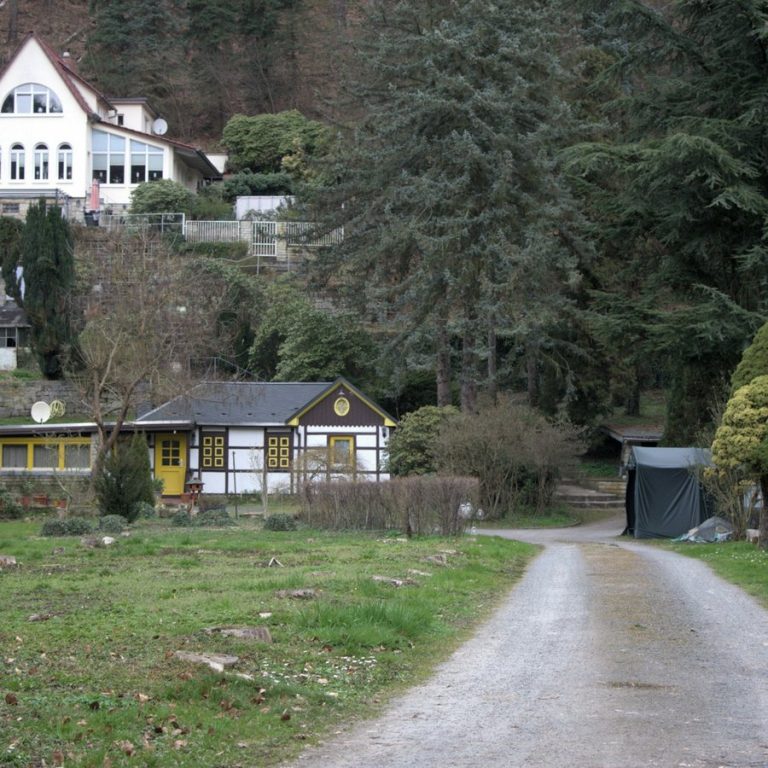 Immobilienmakler Großweismannsdorf: Feldweg zu einem Haus am Waldrand