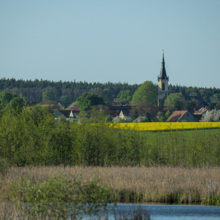 Immobilienmakler Neuhof an der Zenn: Ort mit Kirchturm hinter Wiesen