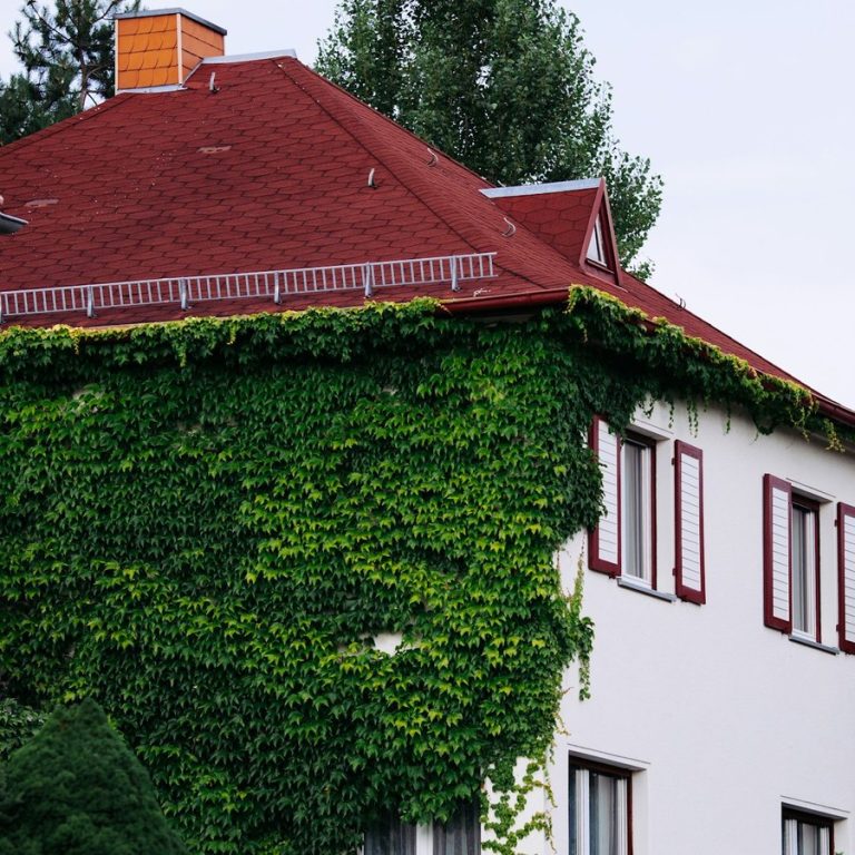 Immobilienmakler Veitsbronn: Wohnhaus mit rotem Dach